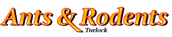 Turlock Ant Exterminator & Rodent Control Company Logo